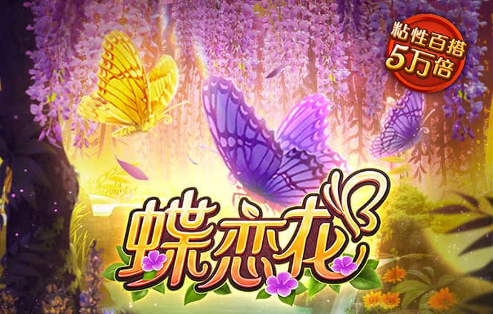 b体育网页游戏